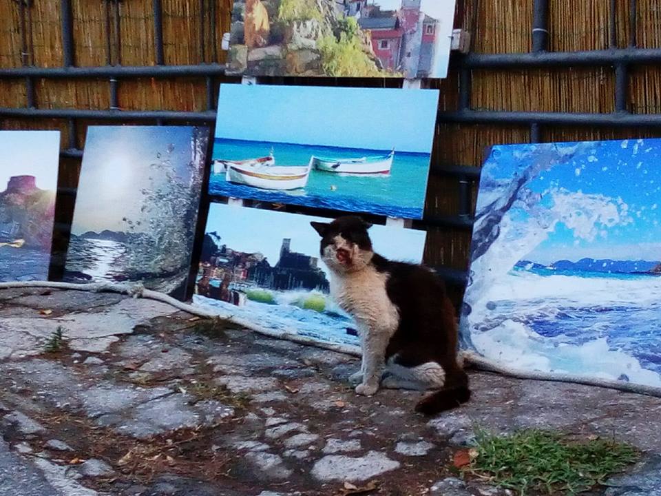 Brutus, il re di Bocca di Magra