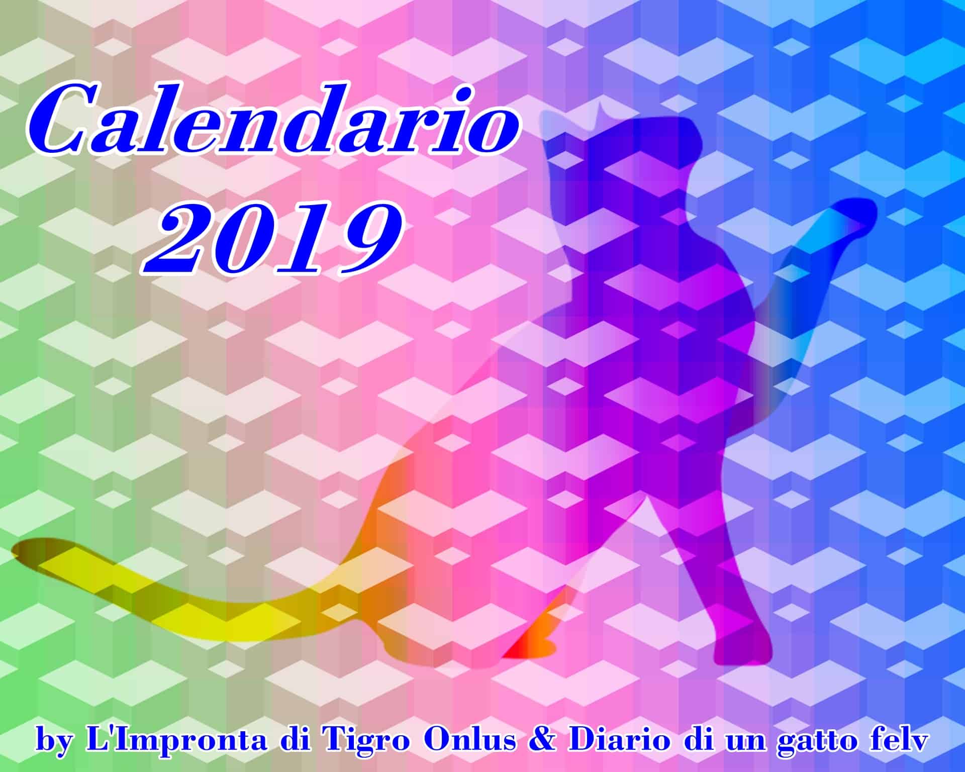 Calendario gatti 2019 de L’impronta di Tigro Onlus