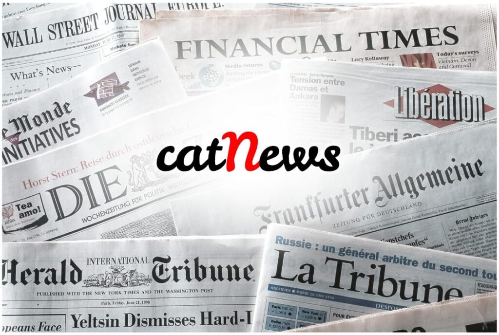 Notizie gatti, cat news