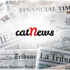 Notizie gatti, cat news