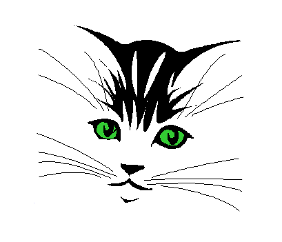 Gif gatto: le più carine suddivise per tema